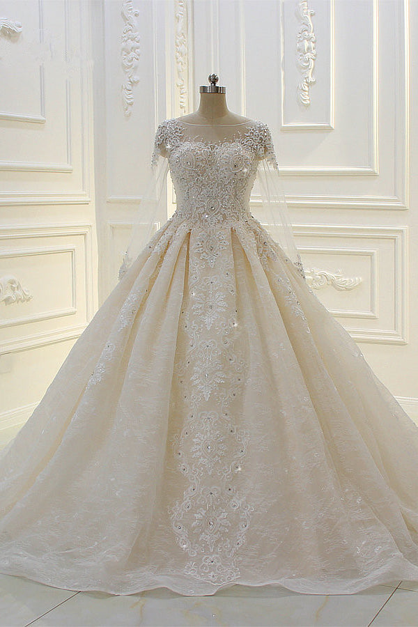 Long Sleeves Ball Gown Wedding Dress with Beading & Lace Appliques-BallBride