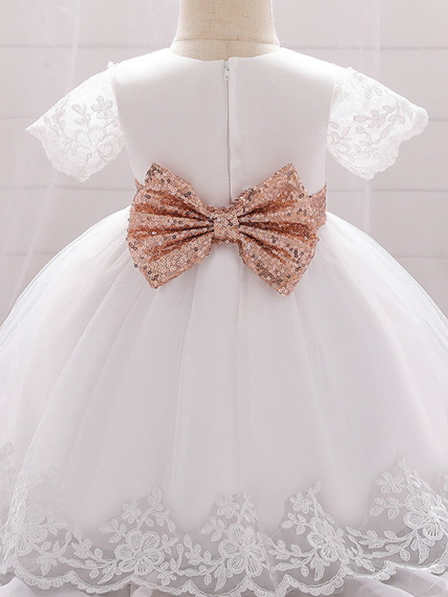 Sleeveless Jewel Neck Lace Ball Gown for Weddings and Parties-BallBride