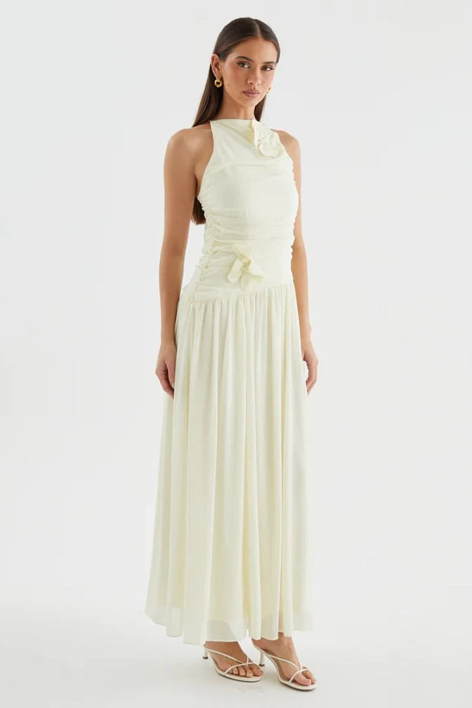 Elegant Sleeveless Chiffon Evening Dresses A-Line With Pleats Flower