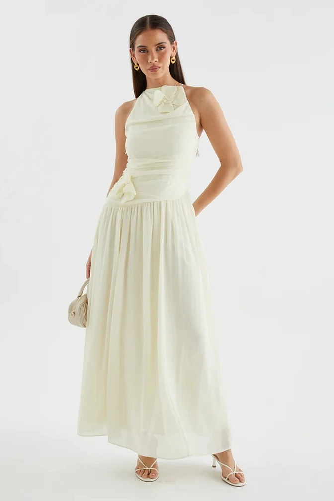 Elegant Sleeveless Chiffon Evening Dresses A-Line With Pleats Flower