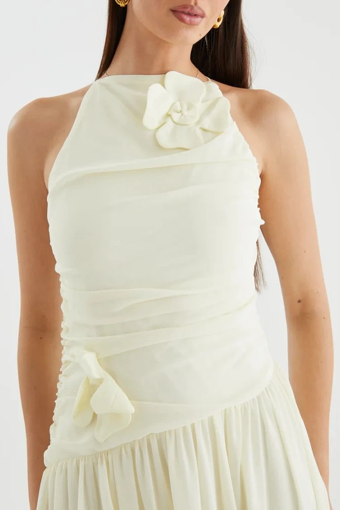 Elegant Sleeveless Chiffon Evening Dresses A-Line With Pleats Flower