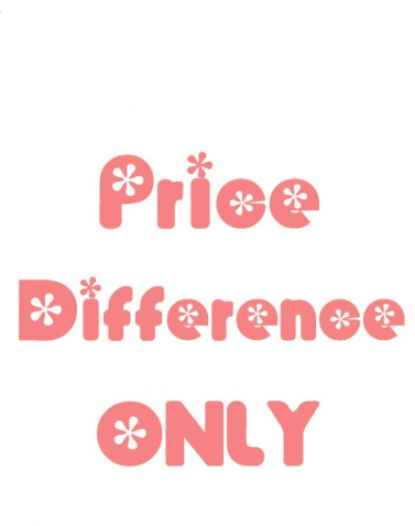 Special Link for extra fee-BallBride